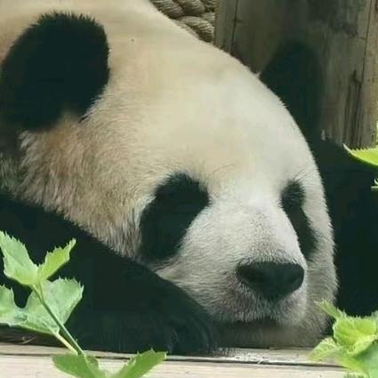 南离