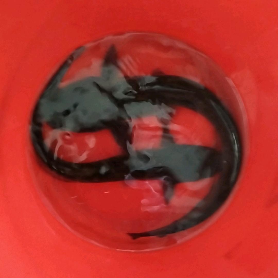 飘飘哥