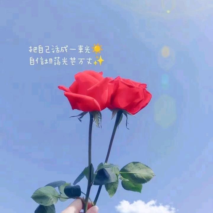 相见不如怀念