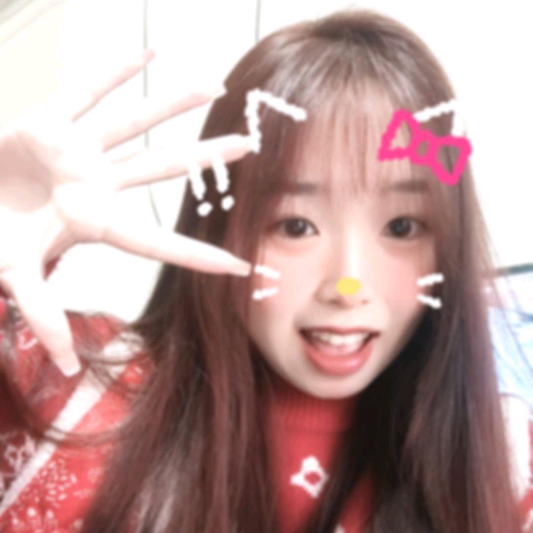 呆儿挞🥧