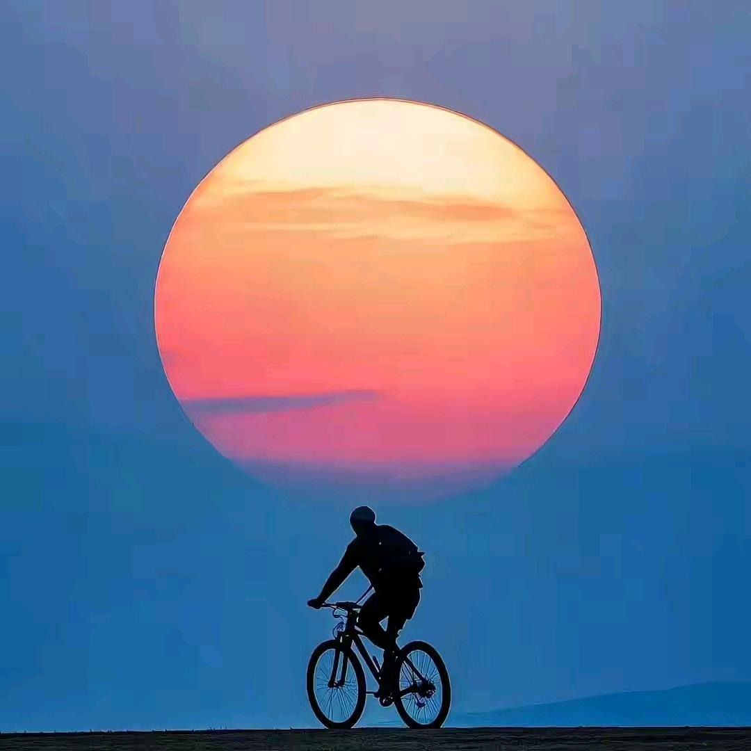 醉爱