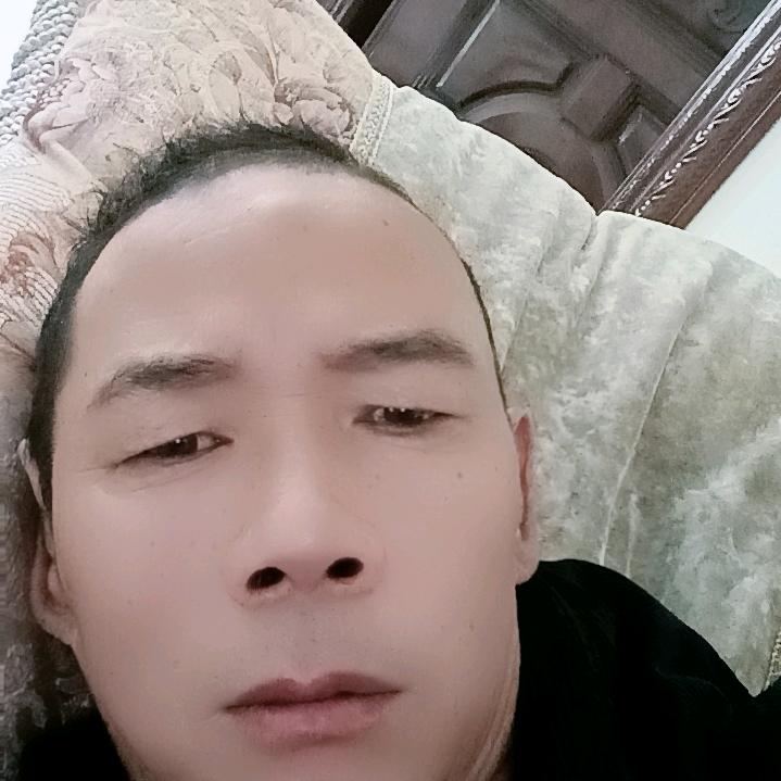 龙哥