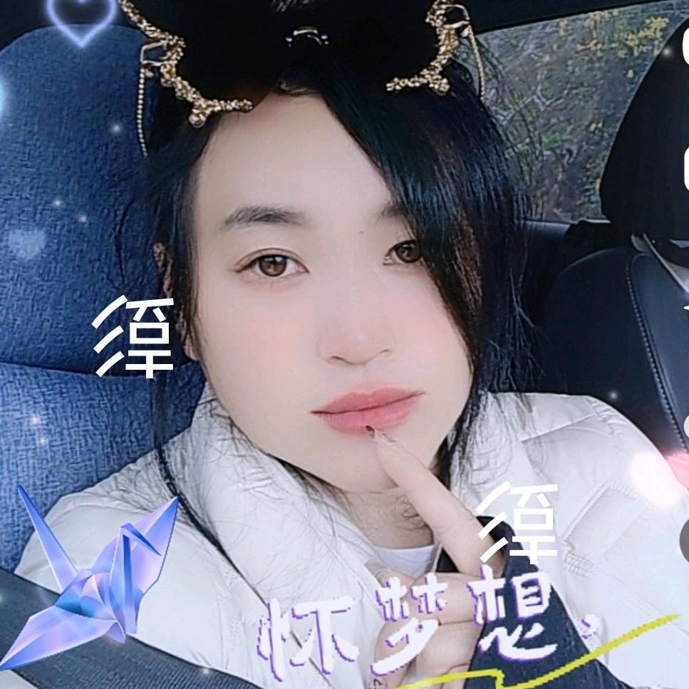 野丫公主