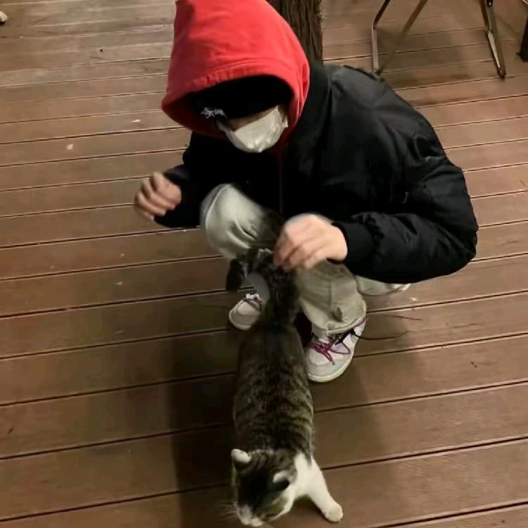 小天王