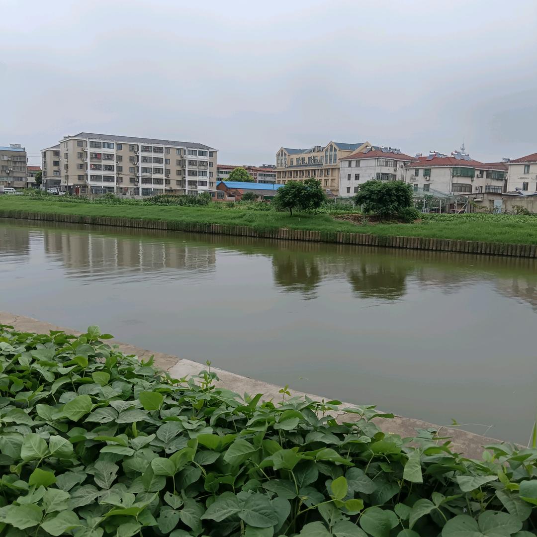 诚信为人