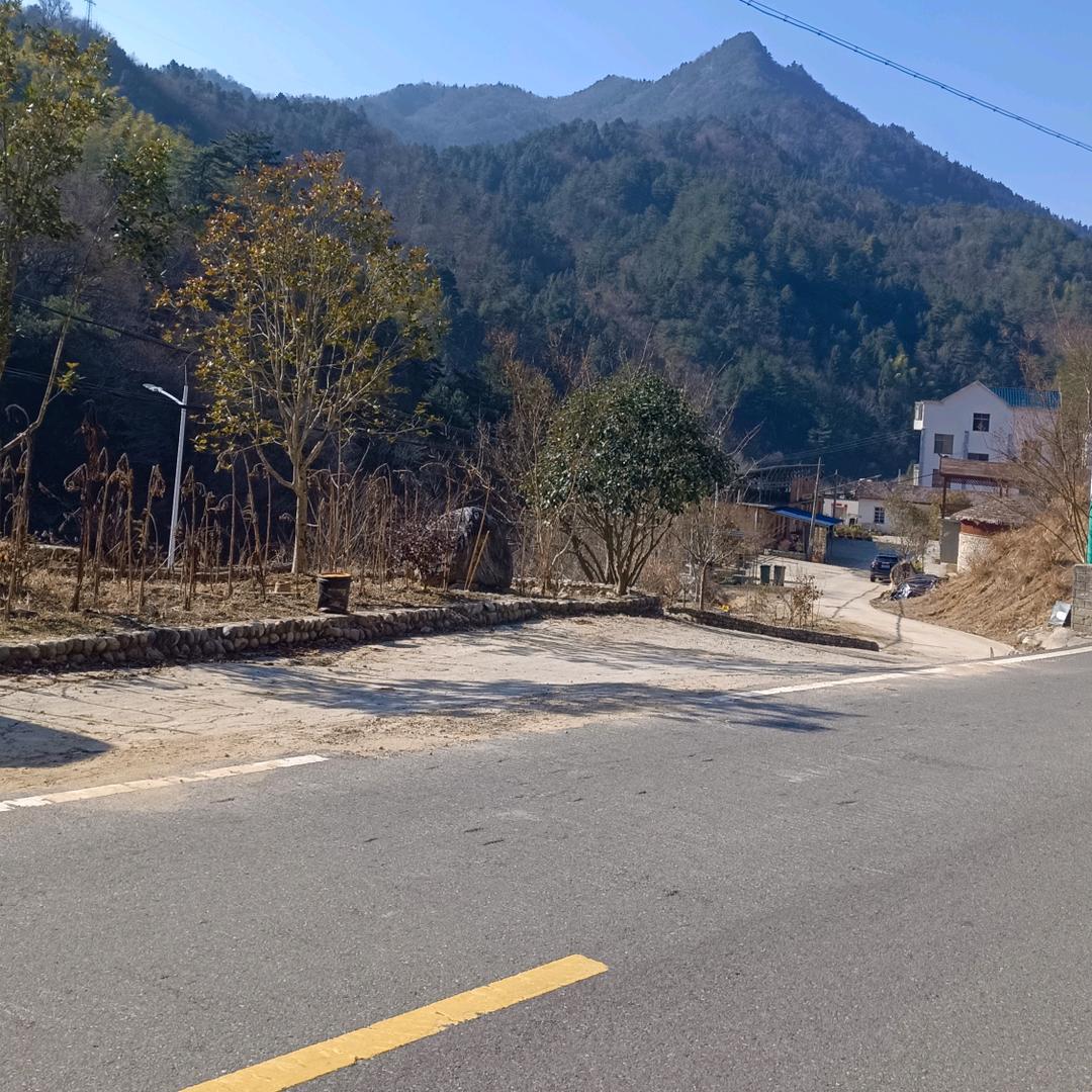 人气旺