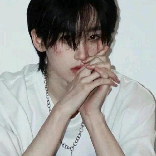 菜狗菜狗又菜又狗