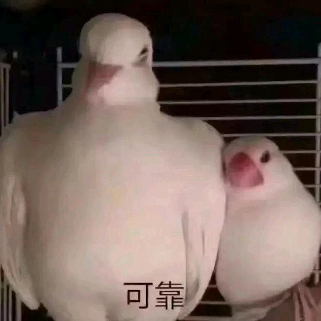 帅哥小姜