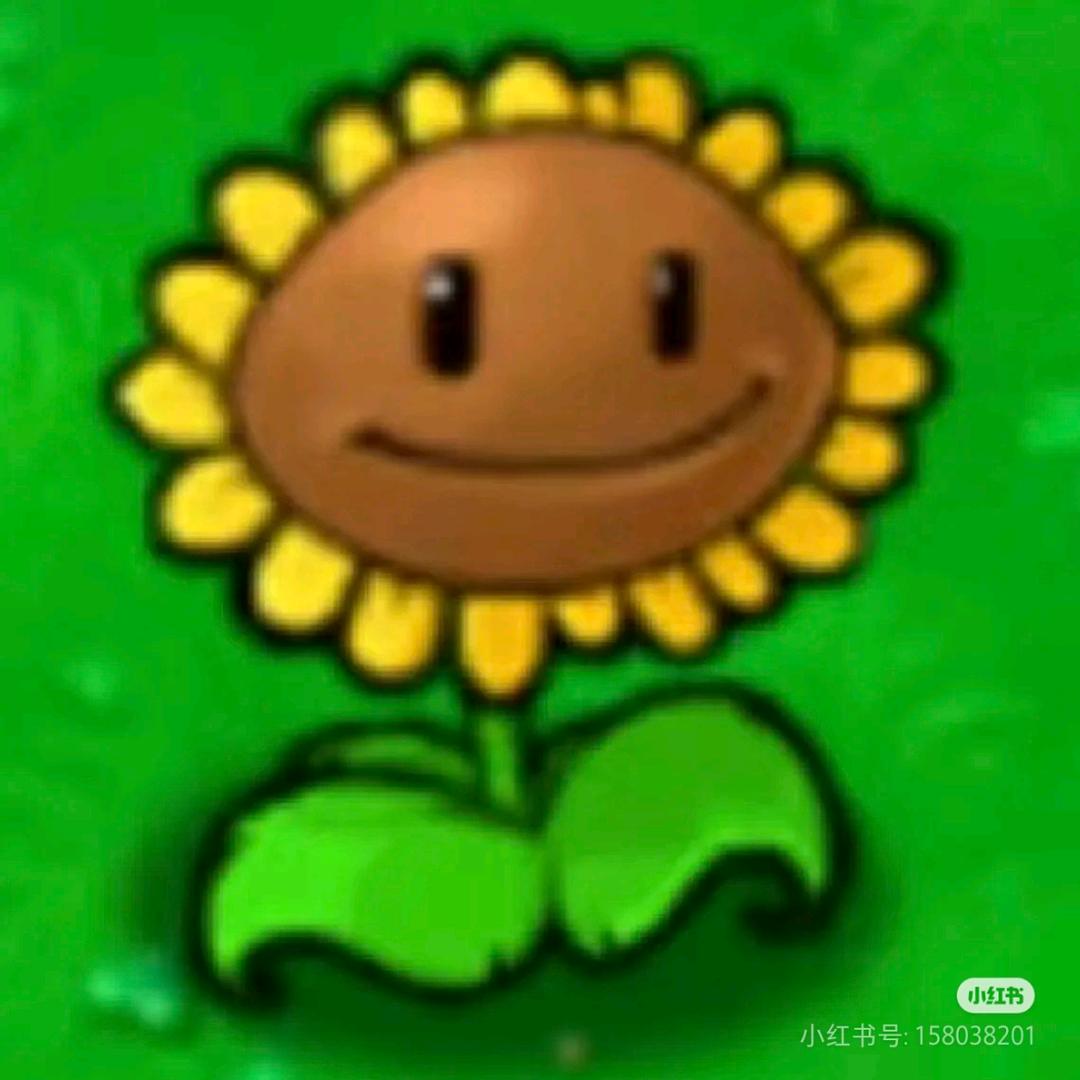 ☀️☀️☀️☀️☀️☀️