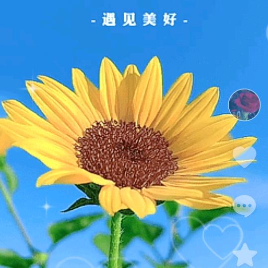 浅浅一笑