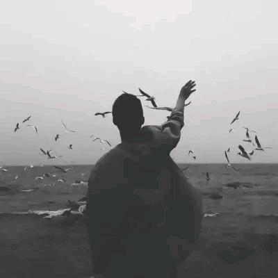 光电➽速度
