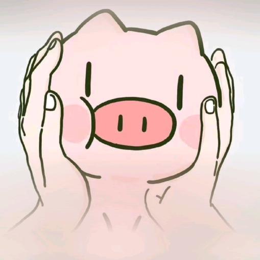 Z🐷L