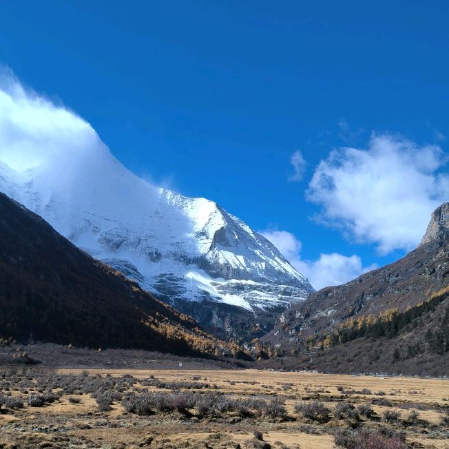 青山已旧