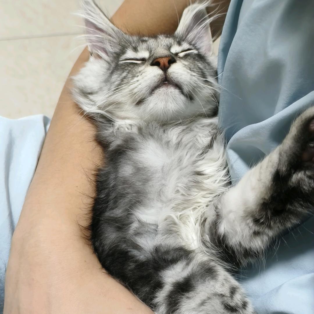 冬眠