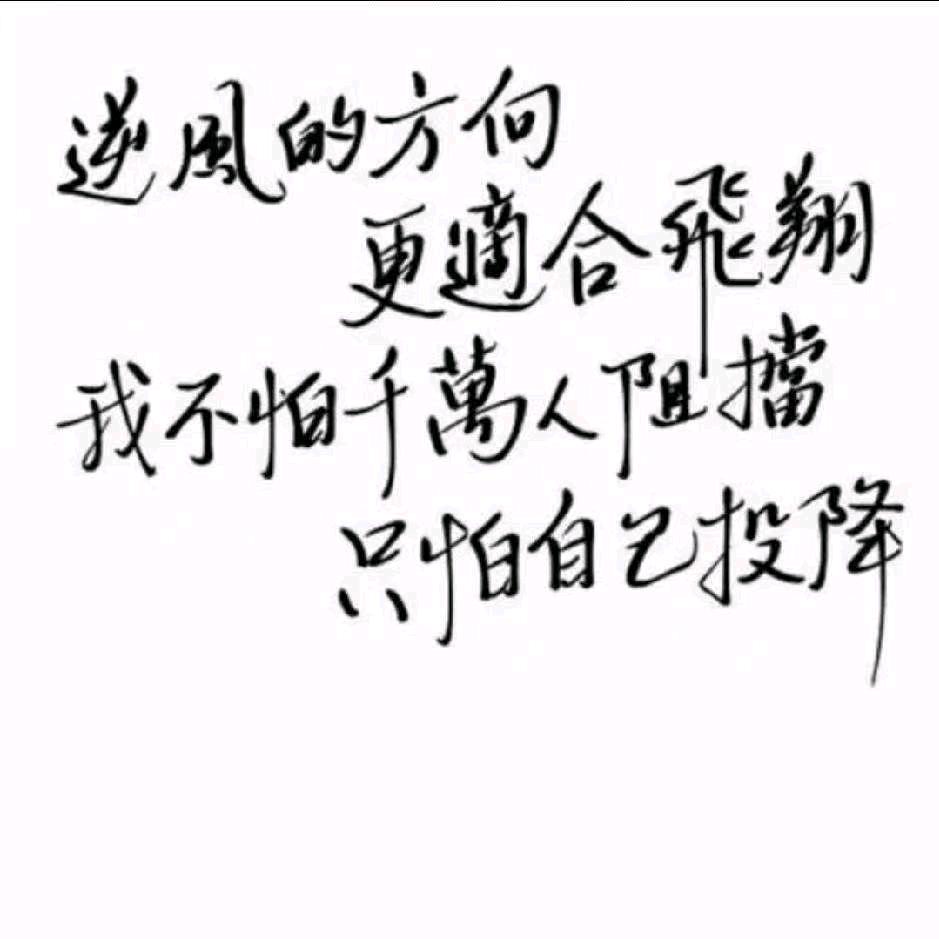 楠得糊涂