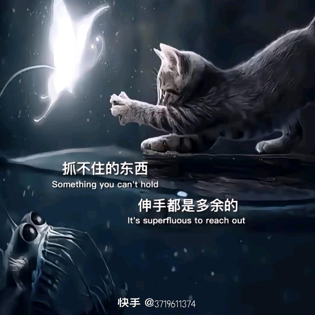 💗᭄¹⁹₉₇🐮索朗ꦿ᭄࿐