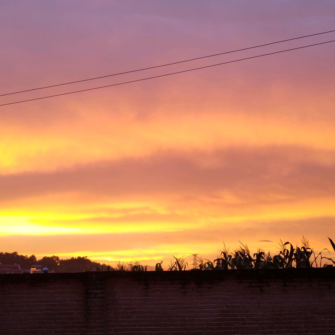 💞᭄᪲ᩚ꯭可乐꧔ꦿ᭄꧔