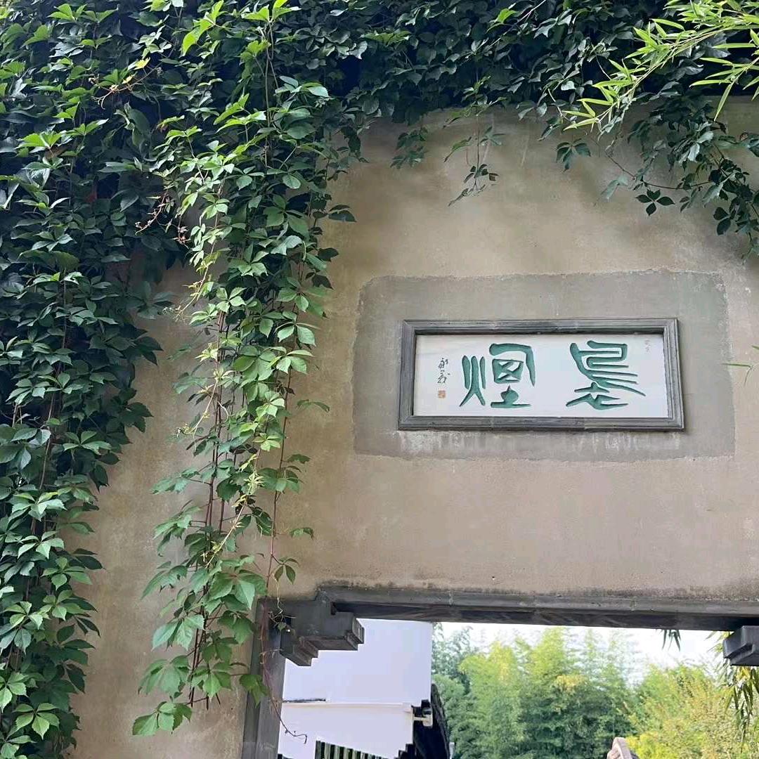 🔇静心🐍