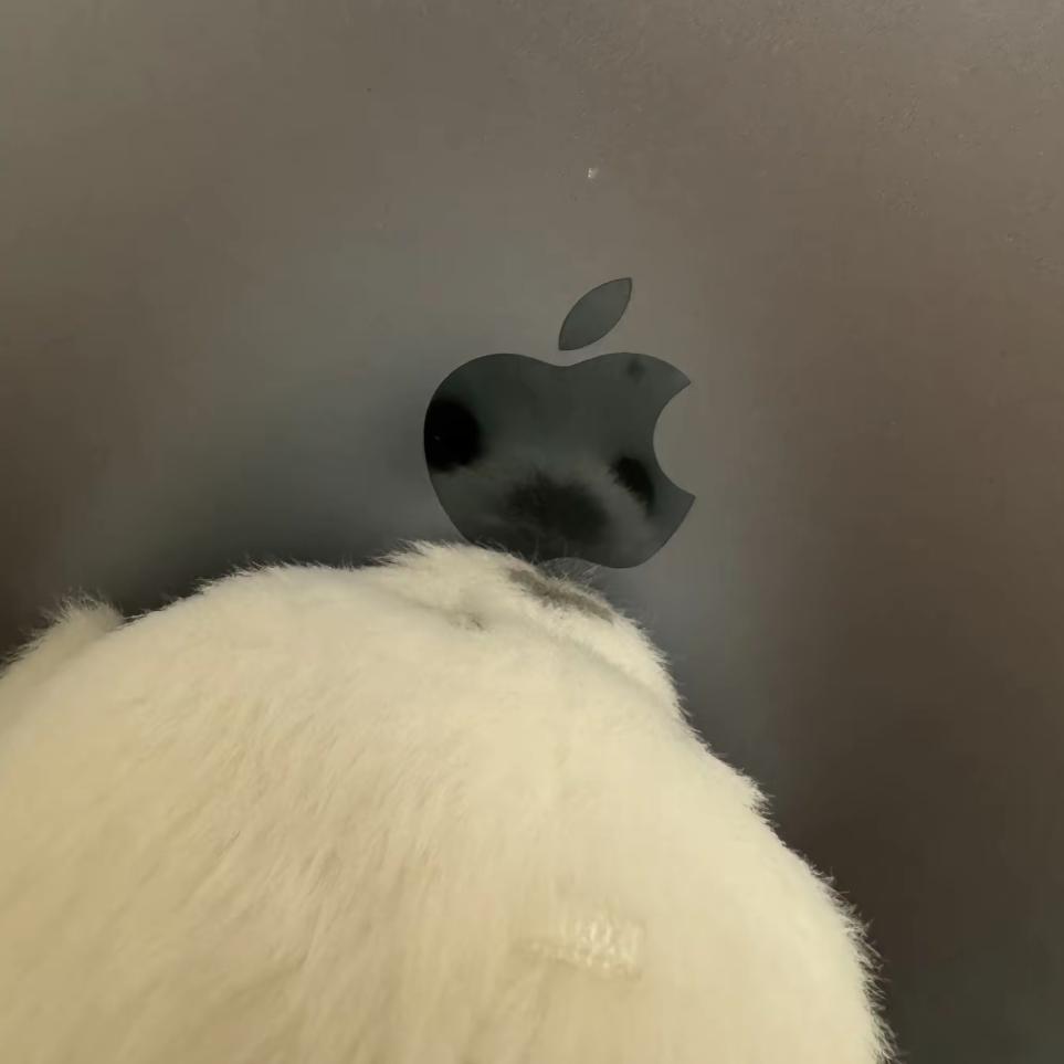 秋无晚