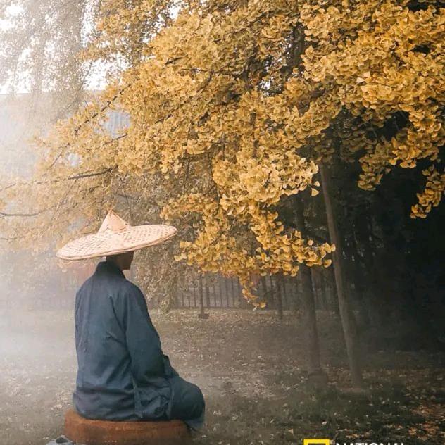 慈和居士