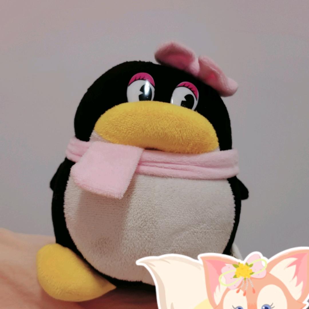 月季读书