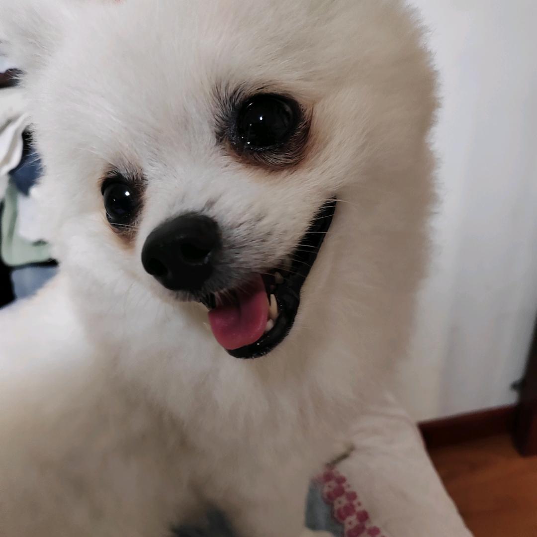 酒肆人间
