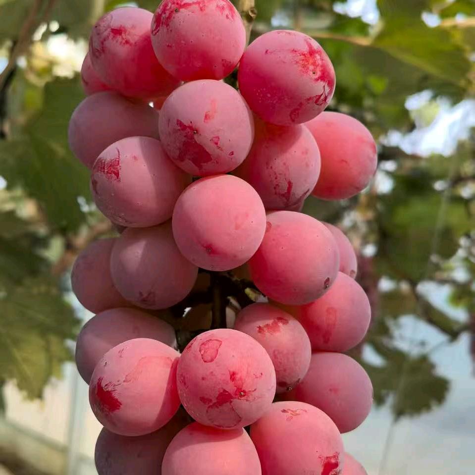 携手共度美好明天