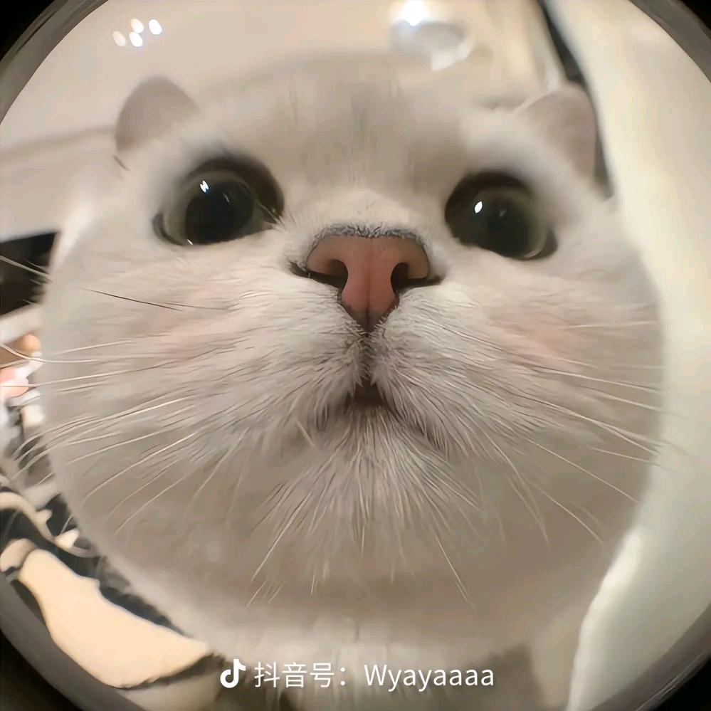 ૮(˶ᵔ ᵕ ᵔ˶)ა