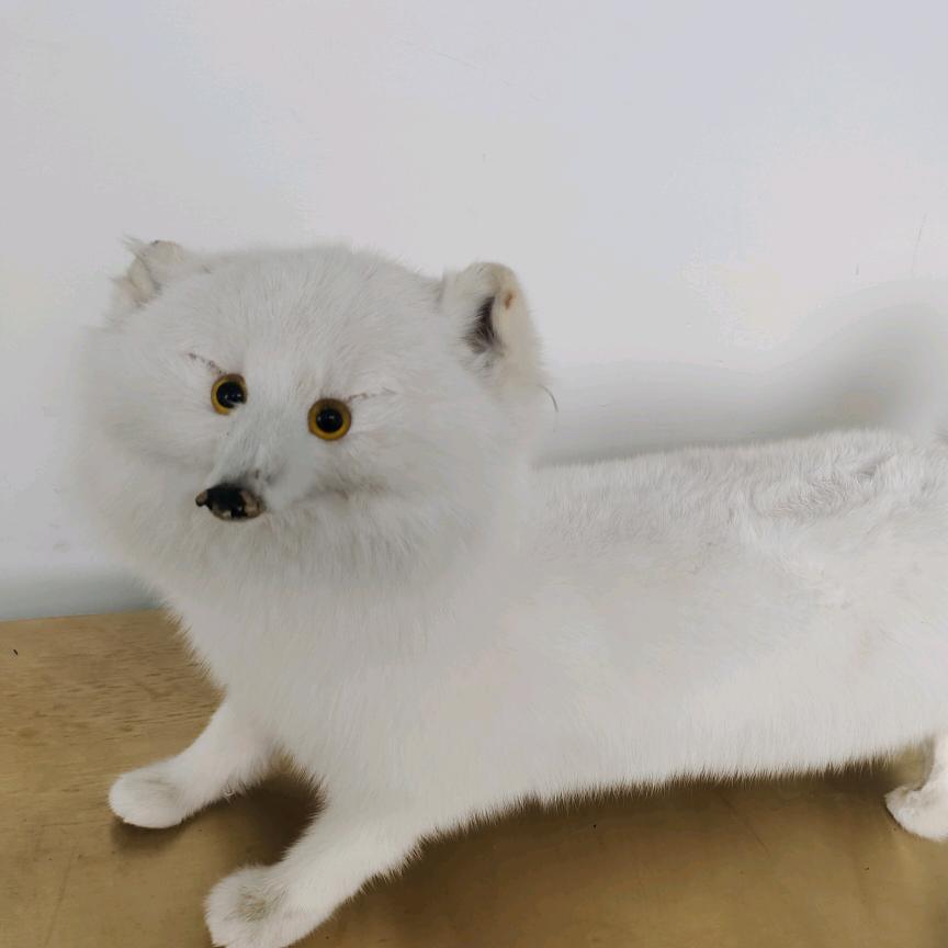 思念