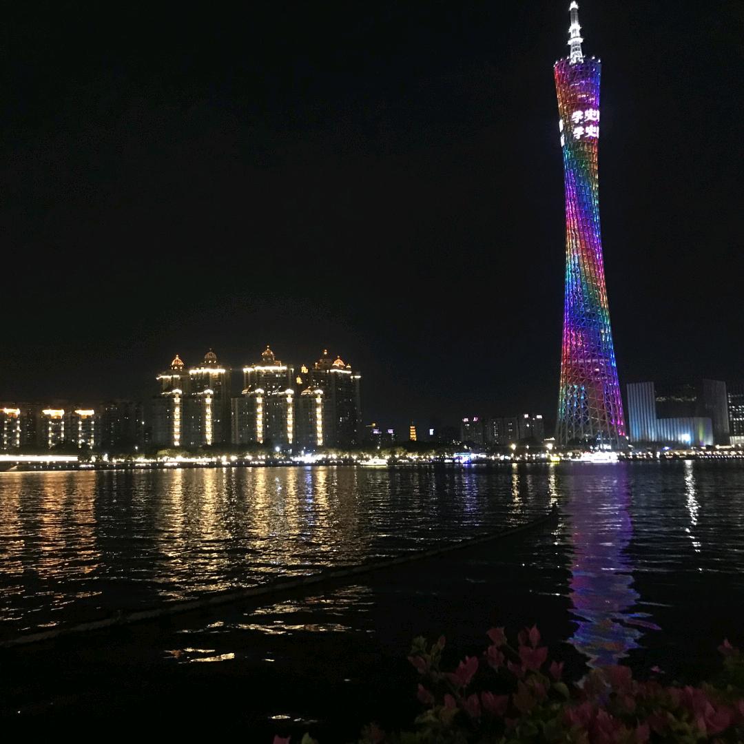 兔子飞了