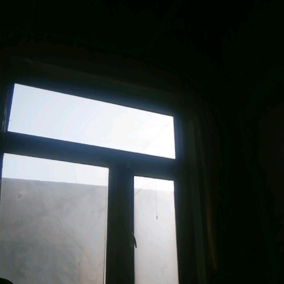海洋