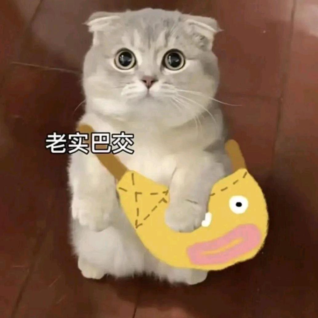 哇噻哇噻哇哇噻