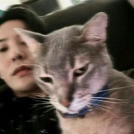 孙辉（三角洲行动）