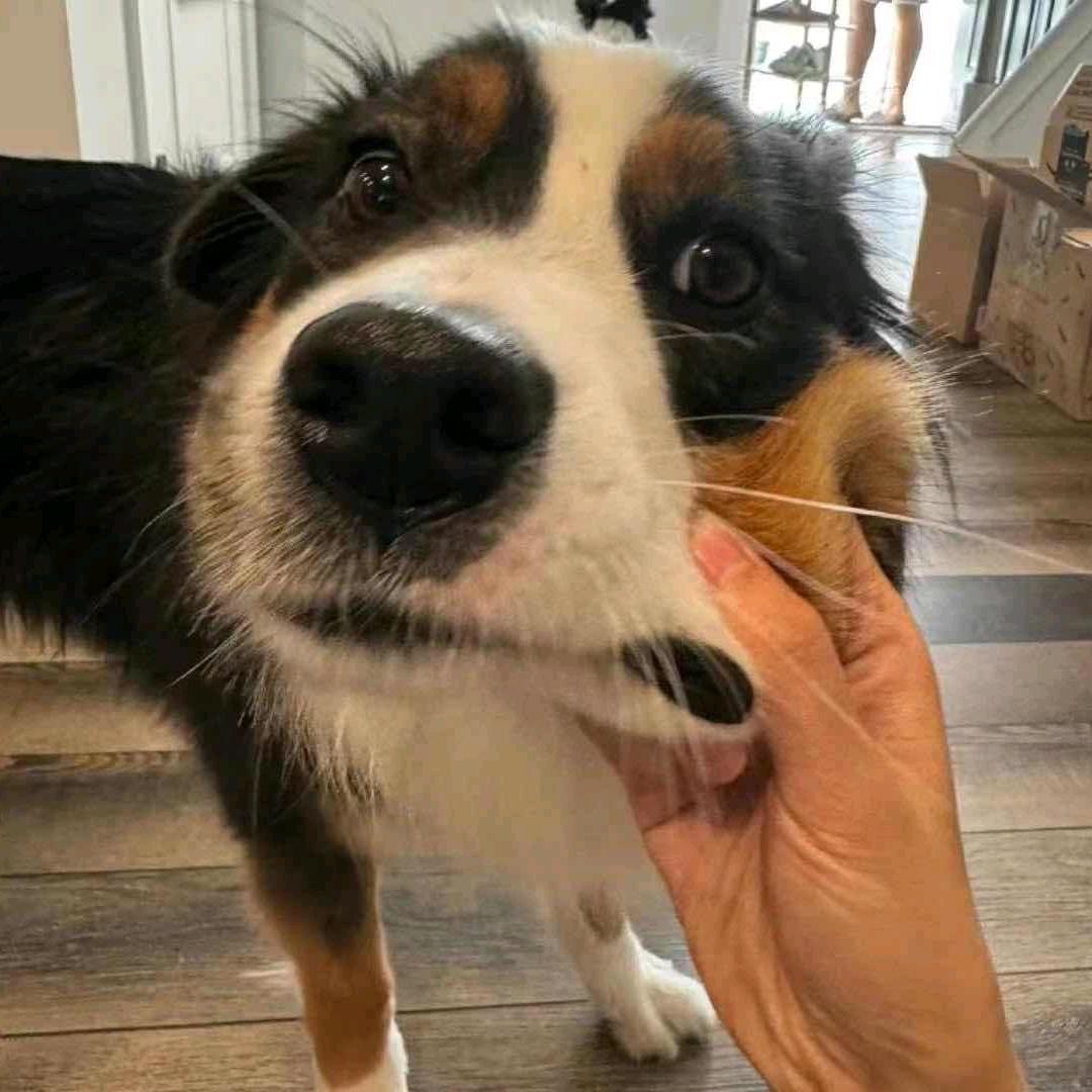 ·