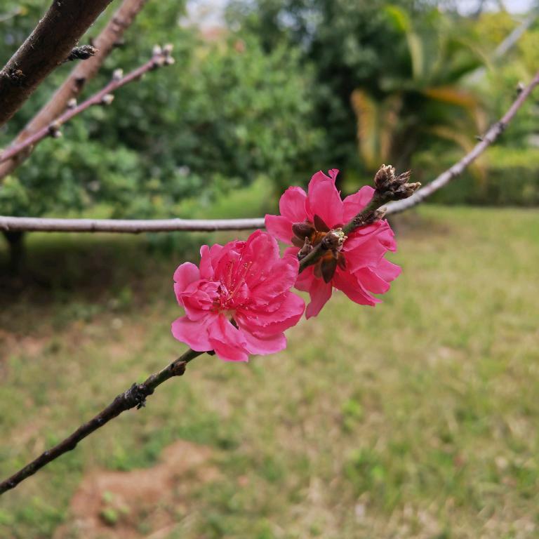 春暖花开—育心花园
