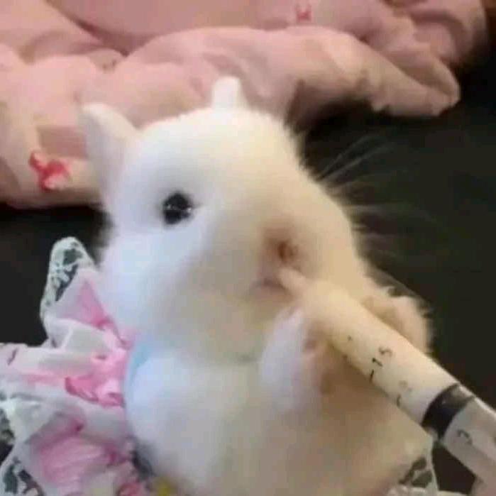 犹豫💕