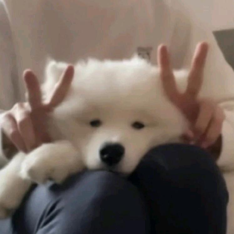 。。，