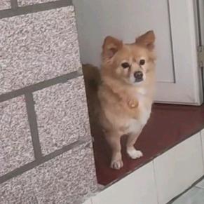 豆豆呀