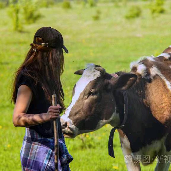 小师妹养牛羊