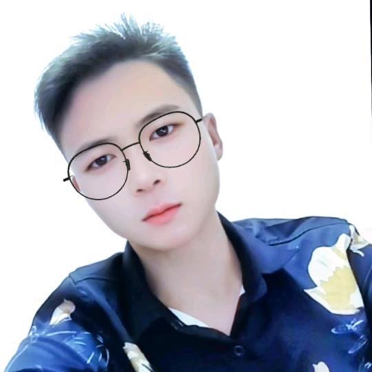 大展鸿图