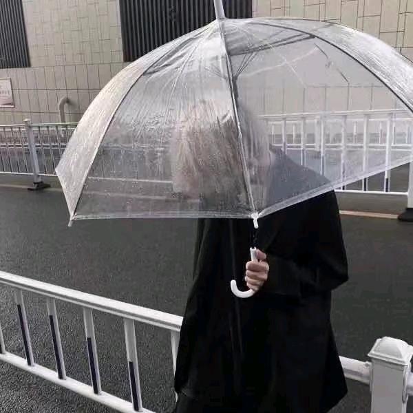 小小鹰