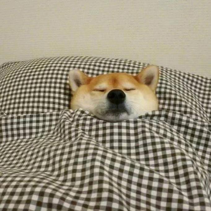 三角洲神明（长弓溪谷跑刀）