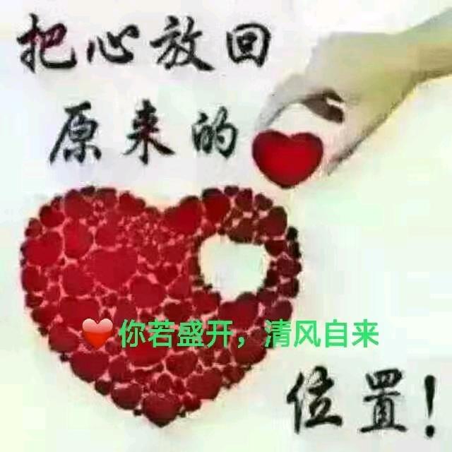 🇨🇳你若盛开，清风自来
