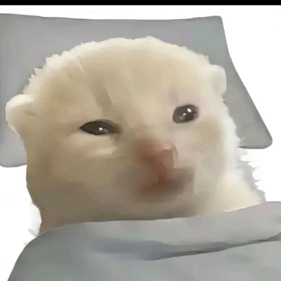 小莹大王