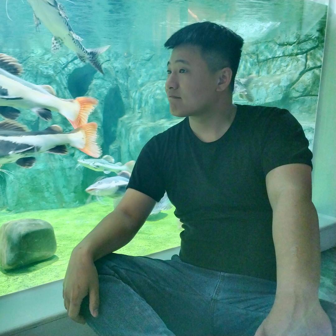 小袁 南京冷链物流