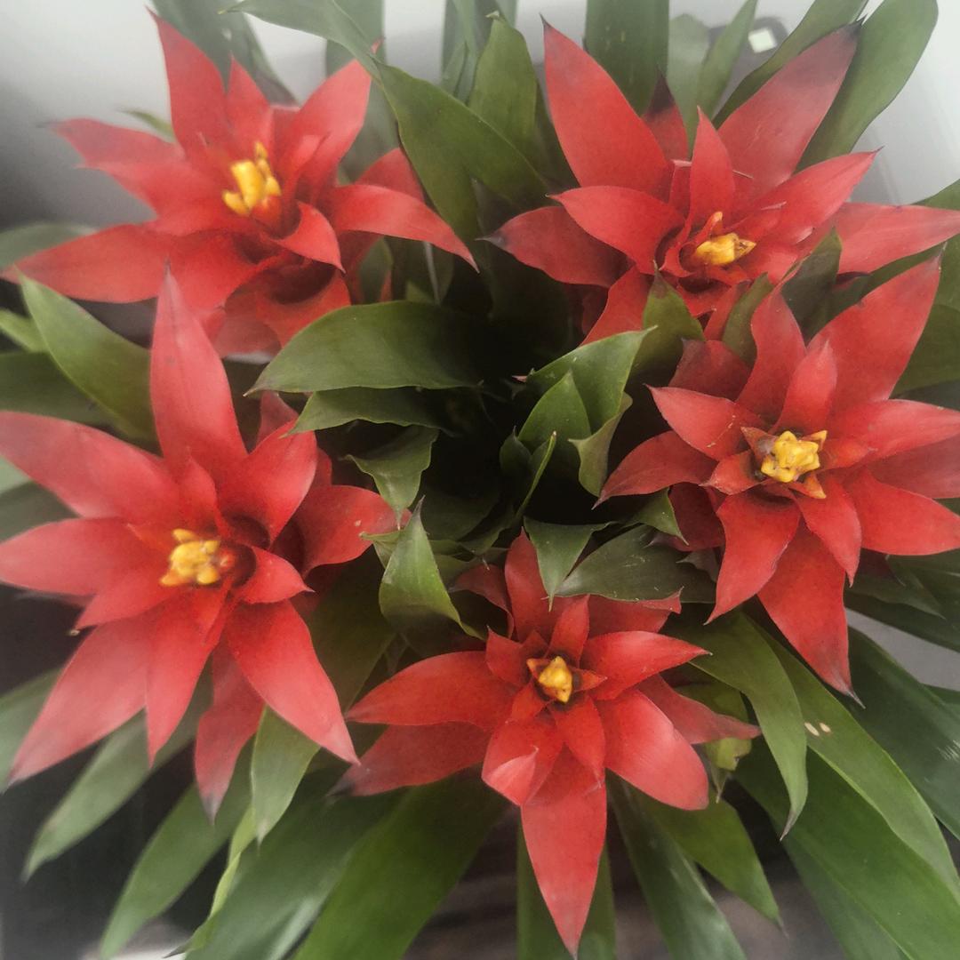 栖霞市建民果蔬@向华