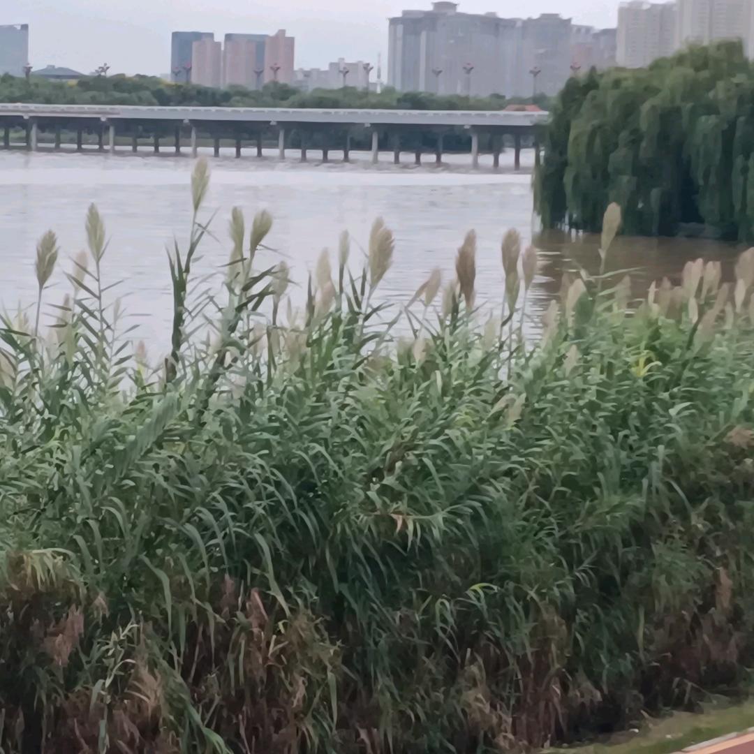 快乐欢喜