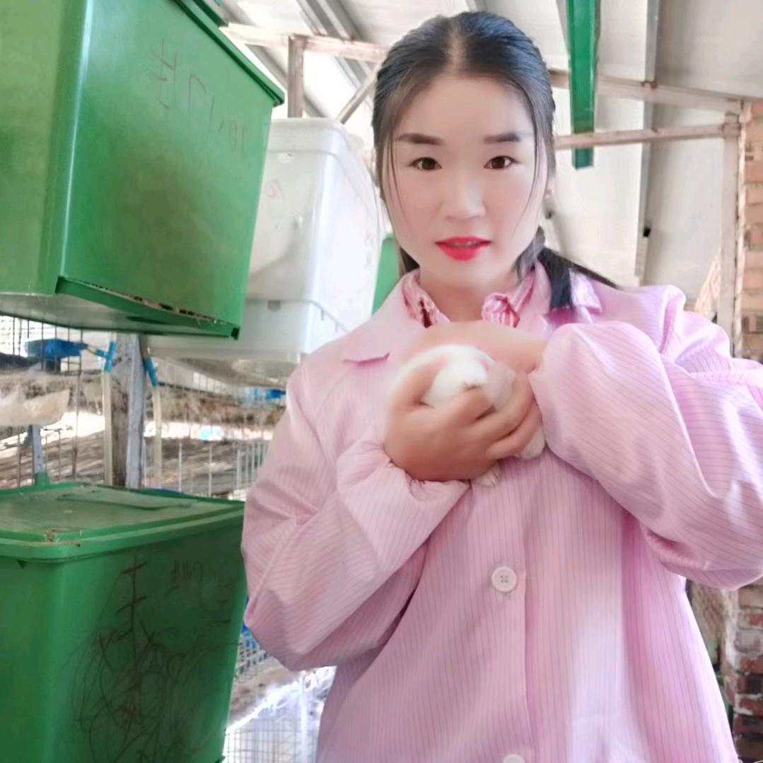 沈丘鹏飞肉兔养殖