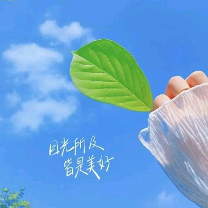 时间的尘埃