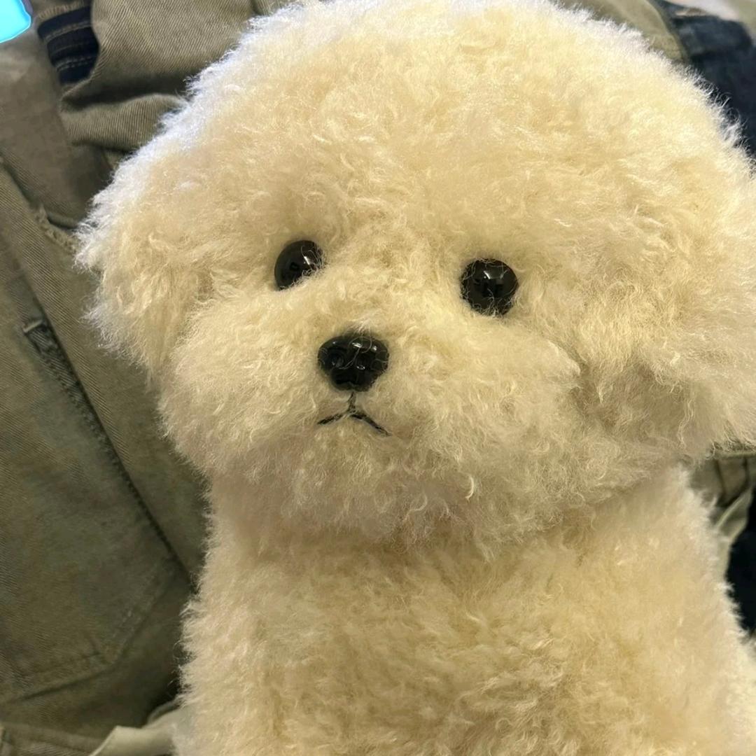 山猪吃不了细糠